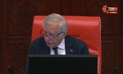 İYİ Parti ile MHP arasında "infaz indirimi" ve 'komisyon' tartışması