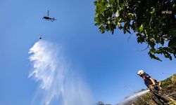 İzmir Aliağa’daki orman yangını dakikalar içinde kontrol altına alındı