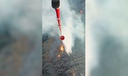 İzmir Çiğli'de otluk alanda yangın