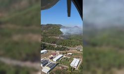 Muğla’da 3 ayrı noktada yangın