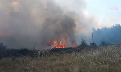 Muğla'da ormana sıçrayan yangın kontrol altına alındı