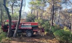 Muğla’da ziraat alanından ormana sıçrayan yangında 1 gözaltı
