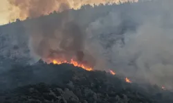 Kaş'taki orman yangını ikinci gününde: Havadan ve karadan yoğun müdahale!