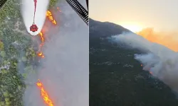 Antalya'da orman yangınına havadan ve karadan müdahale