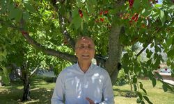 Tarımda fiyat makası büyüyor! CHP'li Genç'ten dikkat çeken açıklama