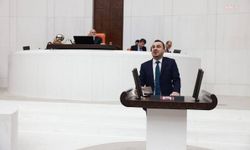 Başevirgen: Vatandaşın elinden patatesi de aldılar