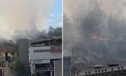 ODTÜ Ormanı'nda çıkan yangın büyümeden söndürüldü
