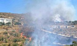 Bodrum'da korkutan yangın