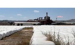 Burdur Şeker Fabrikası'na koku nedeniyle para cezası