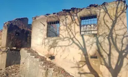 Evde başlayan yangın ormana sıçradı! 20 dönüm alan kül oldu