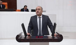 DEM Partili Çiçek'ten Bakan Işıkhan'a göçmen işçilerle ilgili soru önergesi