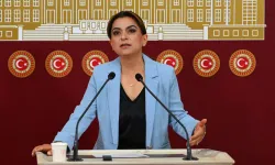 DEM Parti'den 'çerçeve yasa' çıkışı