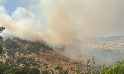 Diyarbakır'da orman yangını