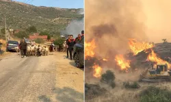 Yangın felaketi geri döndü: İki mahalle tahliye ediliyor!
