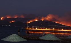Muğla'da 3 ilçede yangın alarmı: Havadan ve karadan müdahale sürüyor