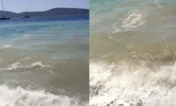 Bodrum'da deniz kirliliği alarmı: Başsavcılık resen soruşturma başlattı