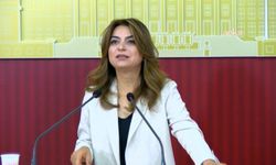 DEM Parti: Çerçeve yasa Meclis kapanmadan çıkacak!