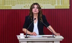 DEM Parti'den 'çerçeve yasa' mesajı: Meclis kapanmadan yasalaşmasını bekliyoruz