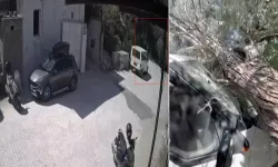 Hatay'da ağaç kamyonetin üzerine devrildi!
