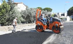 Kuşadası'nda Mustafa Birden Sokak'ta asfalt çalışmaları tamamlanıyor