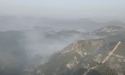 Fethiye'deki orman yangınında son durum! Alevler büyük ölçüde kontrol altında