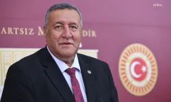 CHP'li Gürer'den 'yeşil domates' tepkisi: Çiftçinin umudu haczediliyor!