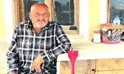 İzmir'de ayı saldırısı can aldı
