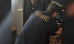 Sahte yatırım dolandırıcılarına 8 ilde operasyon: 11 gözaltı