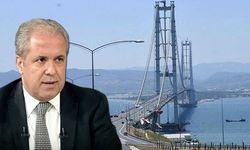AKP'li Şamil Tayyar'dan köprü ve otoyollara gelen zamma tepki: Tavuk firması yapsaydı ‘kayyım’ atanırdı