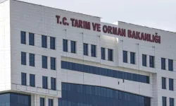 Tarım ve Orman Bakanlığı 1.874 personel alacak: Başvuru tarihi bekleniyor!