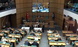 AKP itiraz etti, Üsküdar'da başkanvekili seçimi yenileniyor