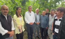 YENİ Parti Samsun Milletvekili Çan’dan fındık üreticilerine destek