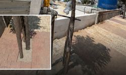 Esenyurt’ta tepki çeken görüntü: Ağaçların dibine beton döküldü!