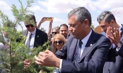 YENİ Parti’de yeni dönem fidan dikimiyle başladı