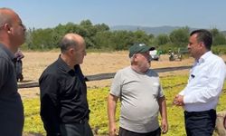 Çiftçi borç batağında: 'Aralık ayında icralar çoğalır'