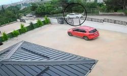 Ordu’da yürek yakan olay: Köpeği ezilen 10 yaşındaki çocuk bayıldı