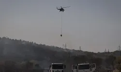 Bursa'da orman yangını