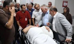 Arı kovanlarını kontrol ederken iskeleden düştü: Belediye başkanı yaralandı