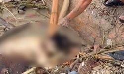 Nepal’de felaket sonrası insanlık dışı görüntüler! Cesedin üzerindeki değerli eşyaları almaya çalıştılar