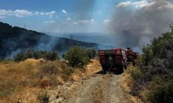 Tarım ve Orman Bakanı Yumaklı, orman yangınlarındaki son durumu açıkladı