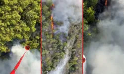 Antalya’da orman yangını: Alevlere havadan ve karadan müdahale!