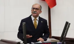 YENİ Partili Arslan 'hayır' oyu vereceğini açıkladı