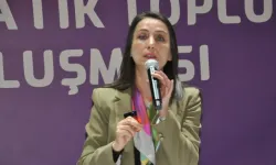 DEM Parti, YENİ Parti'den 'çerçeve yasa' beklentisini açıkladı