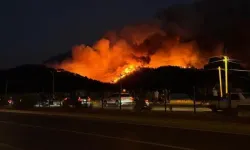Fethiye’deki orman yangını evlere sıçradı