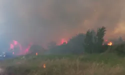 Çanakkale’de gece yarısı yangın kabusu!