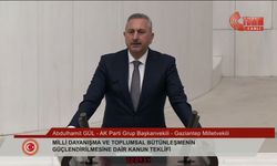 AKP'li Gül: Diyarbakır Anneleri, Cumartesi Anneleri, Barış Anneleri kazanacak
