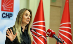Aylin Nazlıaka'dan ihraç taleplerine tepki: Bizi Atatürk'ün eseri olan CHP'den asla atamazlar