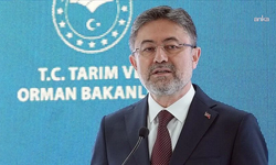 Bakan Yumaklı: Alanya, Dilovası ve Marmara Adası'ndaki yangınlar kontrol altına alındı