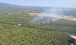 Buca’daki orman yangını kontrol altına alındı