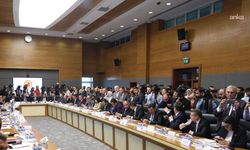 CHP'li Alp:  Biz bu sürece, cumhuriyeti demokrasiyle taçlandırma süreci diyoruz
